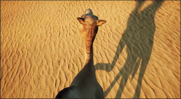 Фото: https://store.steampowered.com/app/1377560