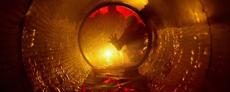 Как Саша Петров победил большого осьминога и получил чужую женщину — обзор нового фильма «Кракен»