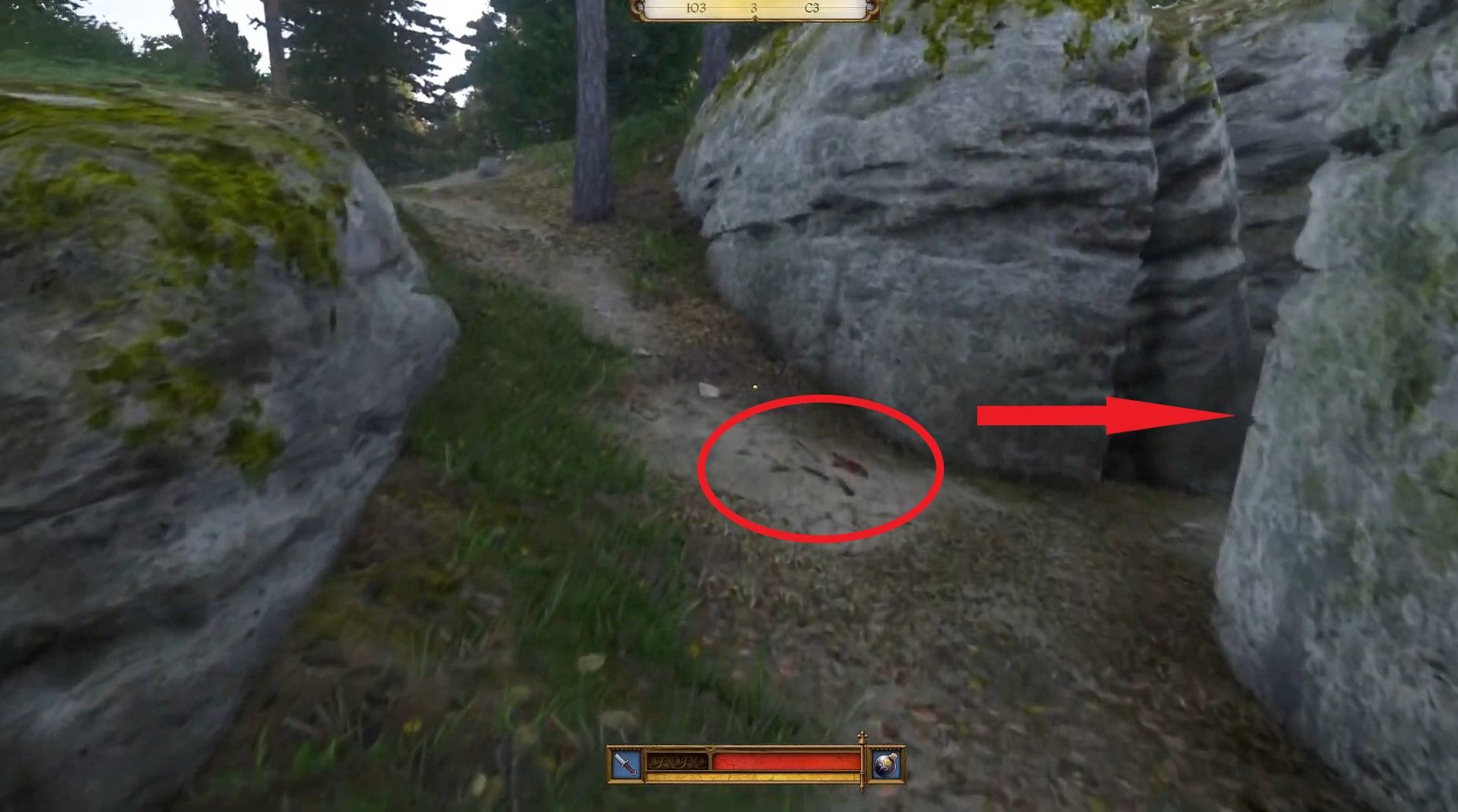 Скриншот из игры Kingdom Come: Deliverance II