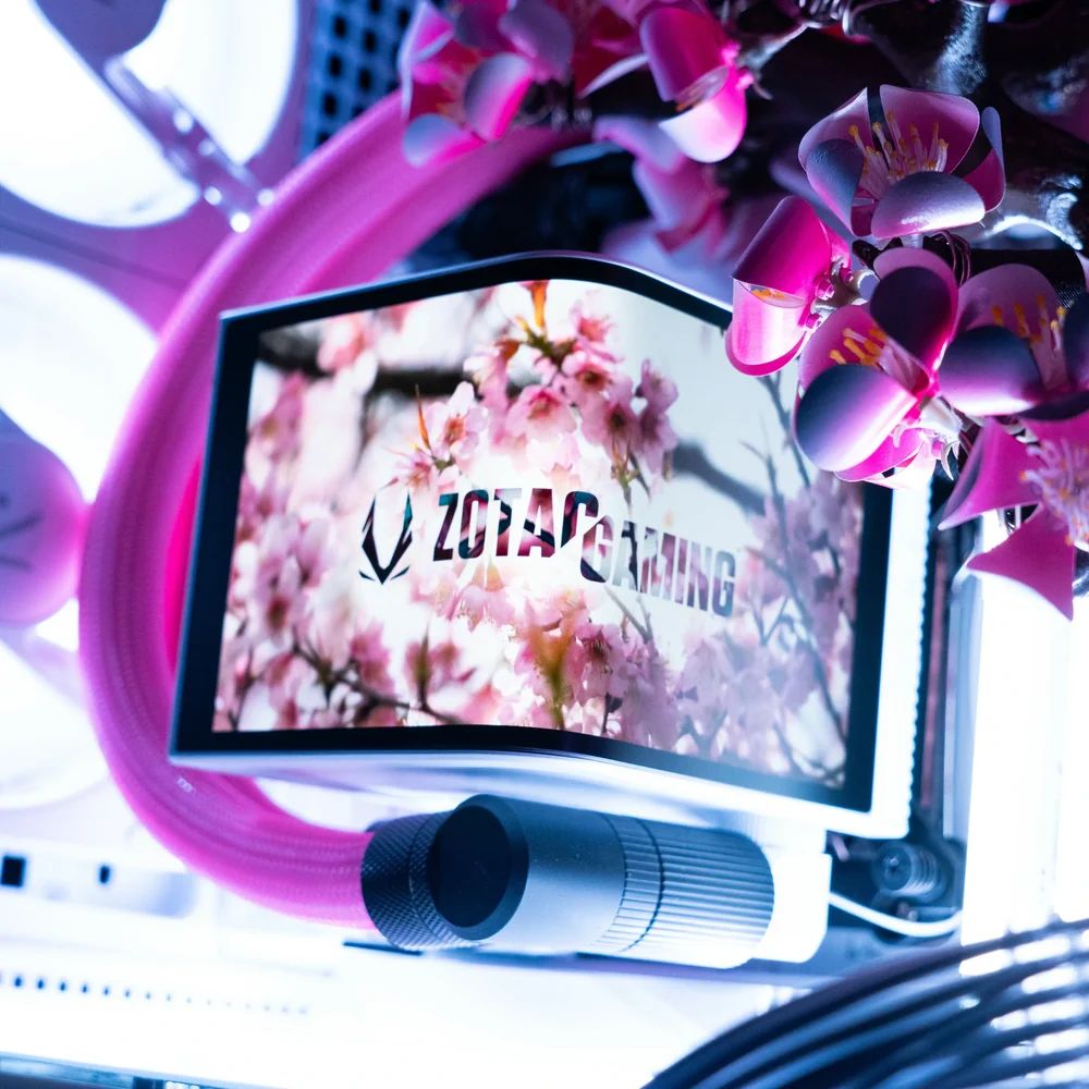 Aftershock Cherry Bloom | Источник: Aftershock