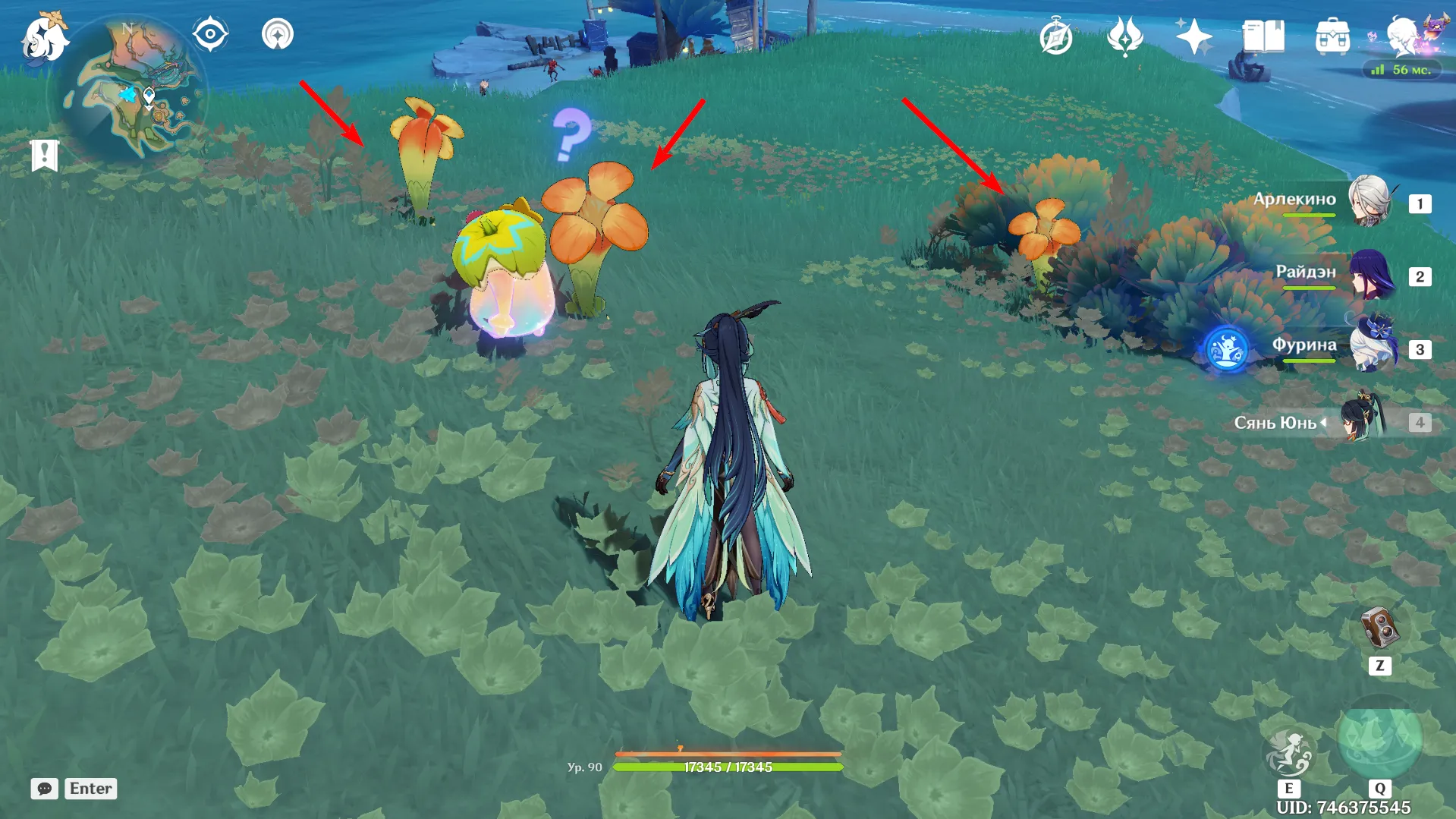 Источник: Genshin Impact