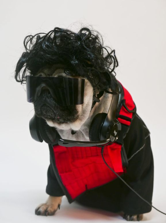 Источник: twitter @p4triciattv