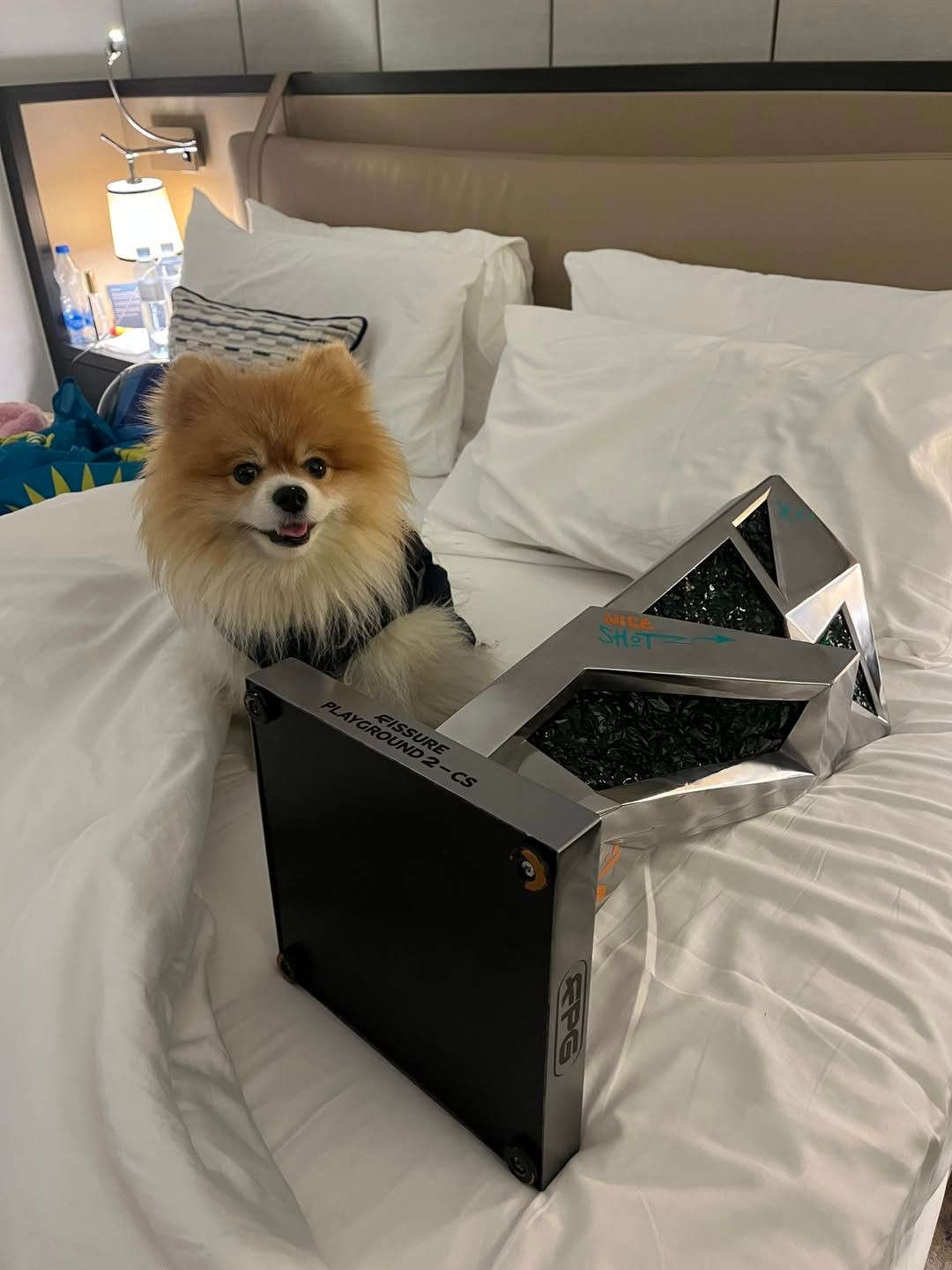 Источник: страница FURIA в Instagram*