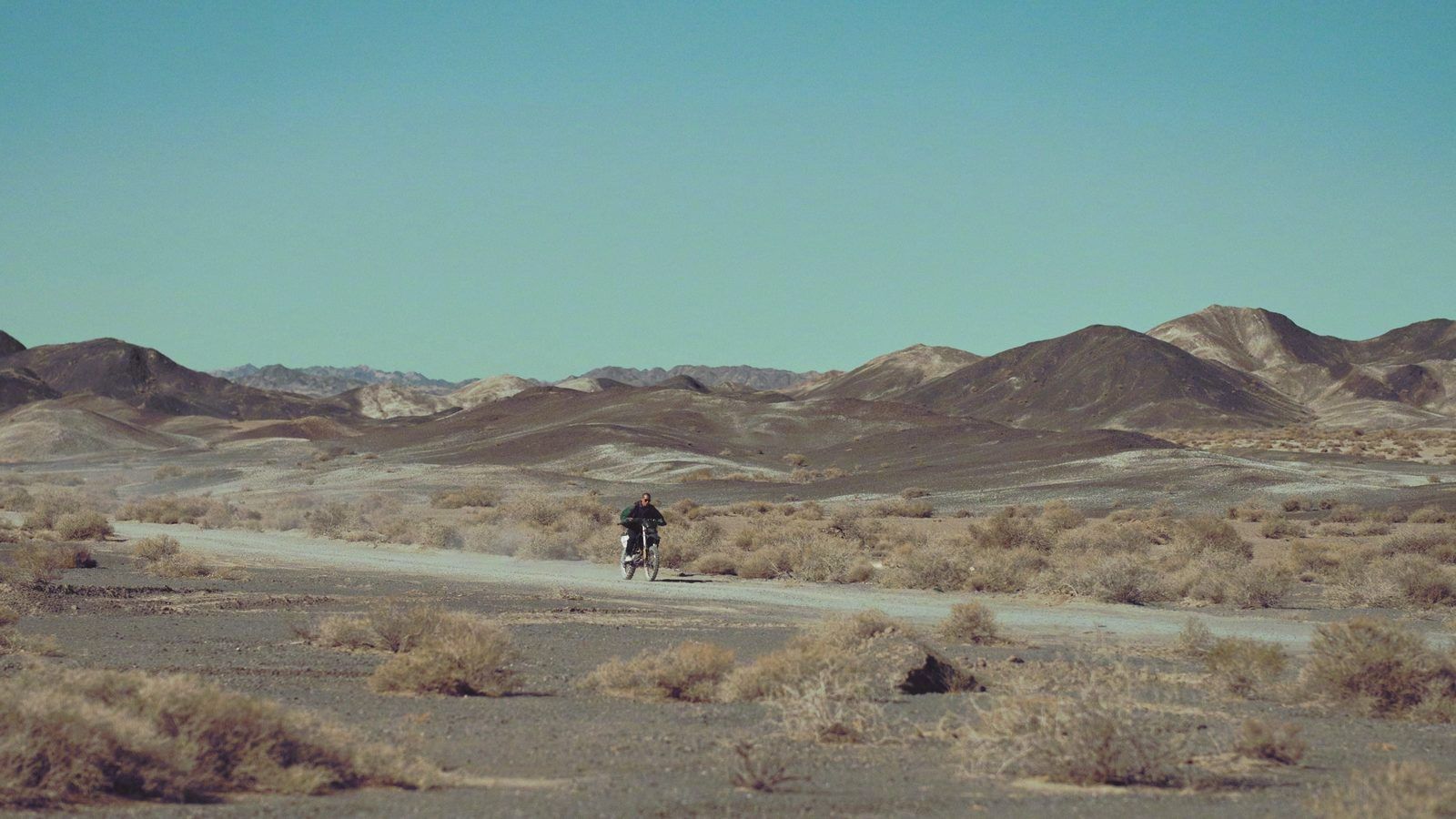 Кадр из фильма «Черный пес»