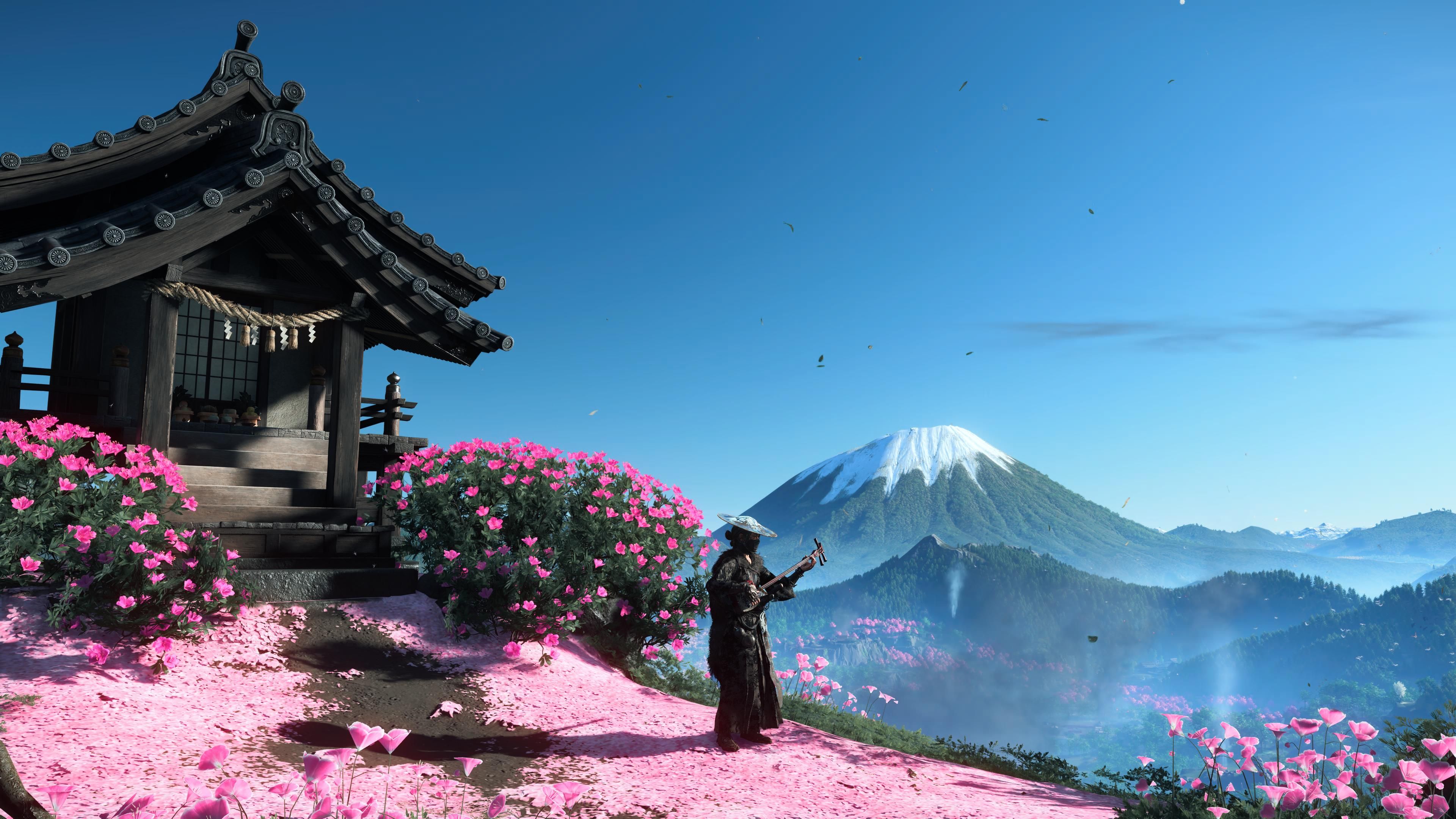 Будь моя воля, я бы весь обзор в слайд-шоу превратил. Скриншот из Ghost of Yōtei.