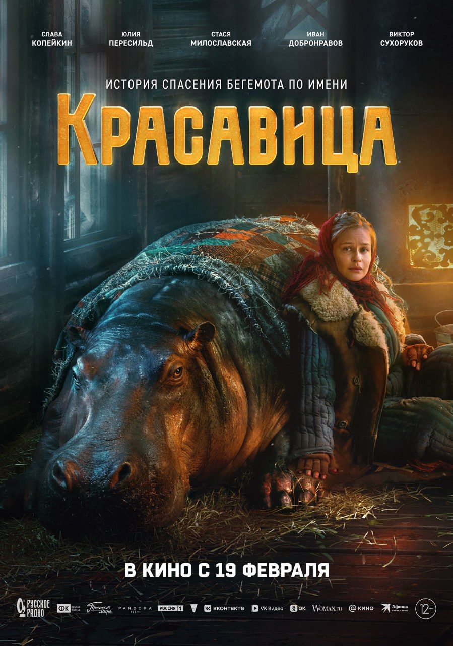 Источник: t.me/volgafilms