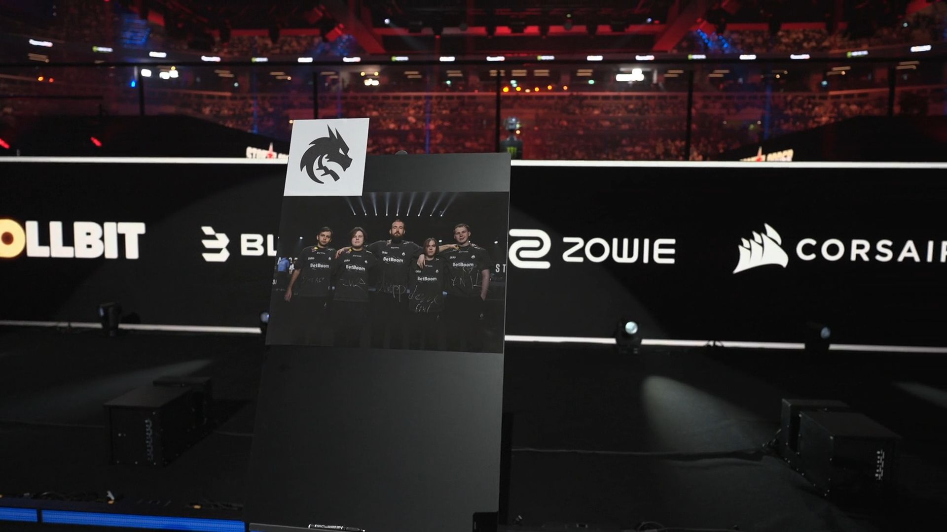 Автографы игроков Team Spirit. Источник: Twitch