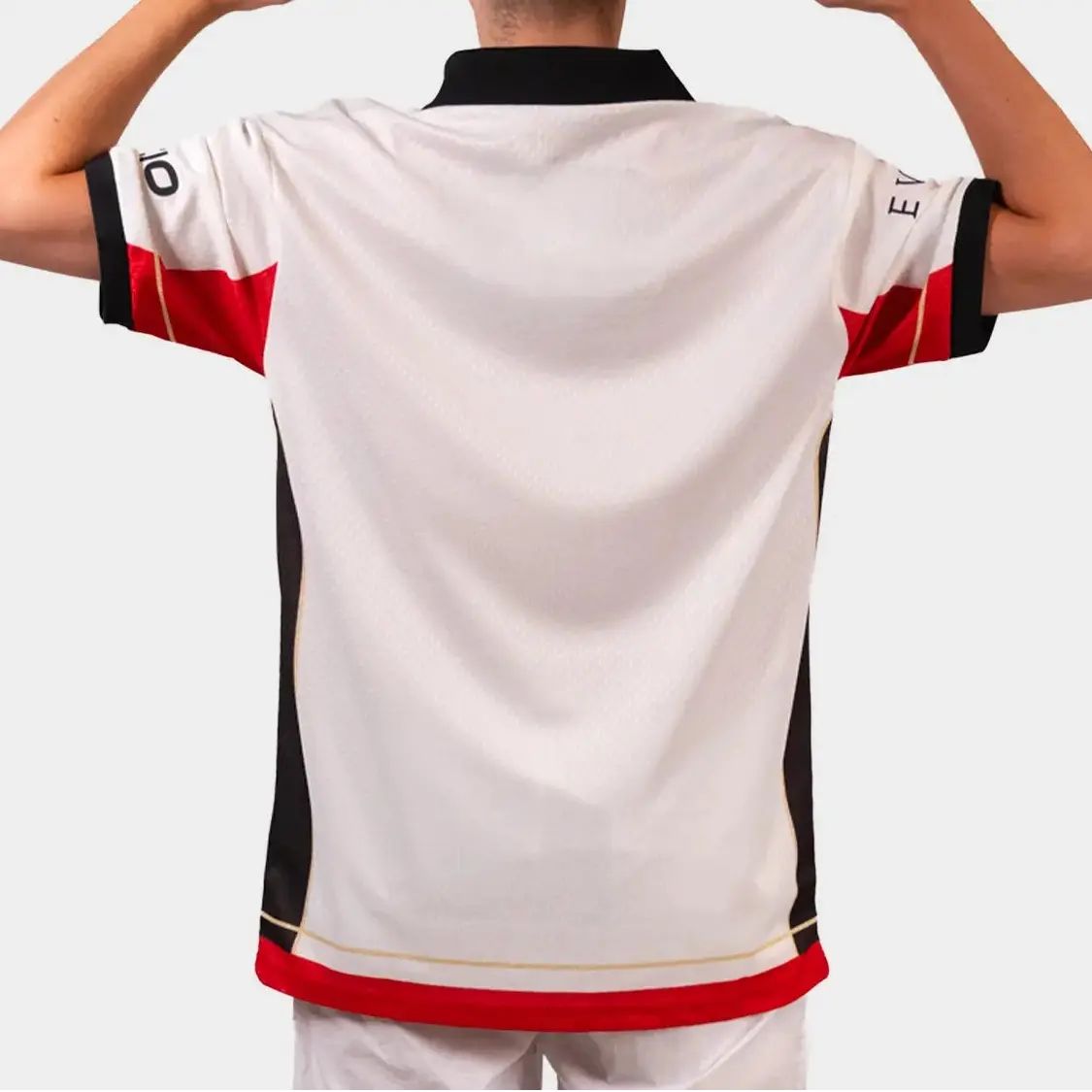 Источник: Team Vitality