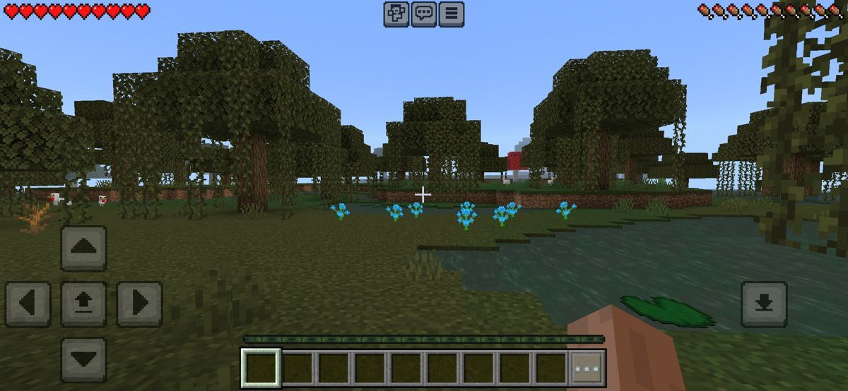 Скриншот из Minecraft. Источник: Moby Games