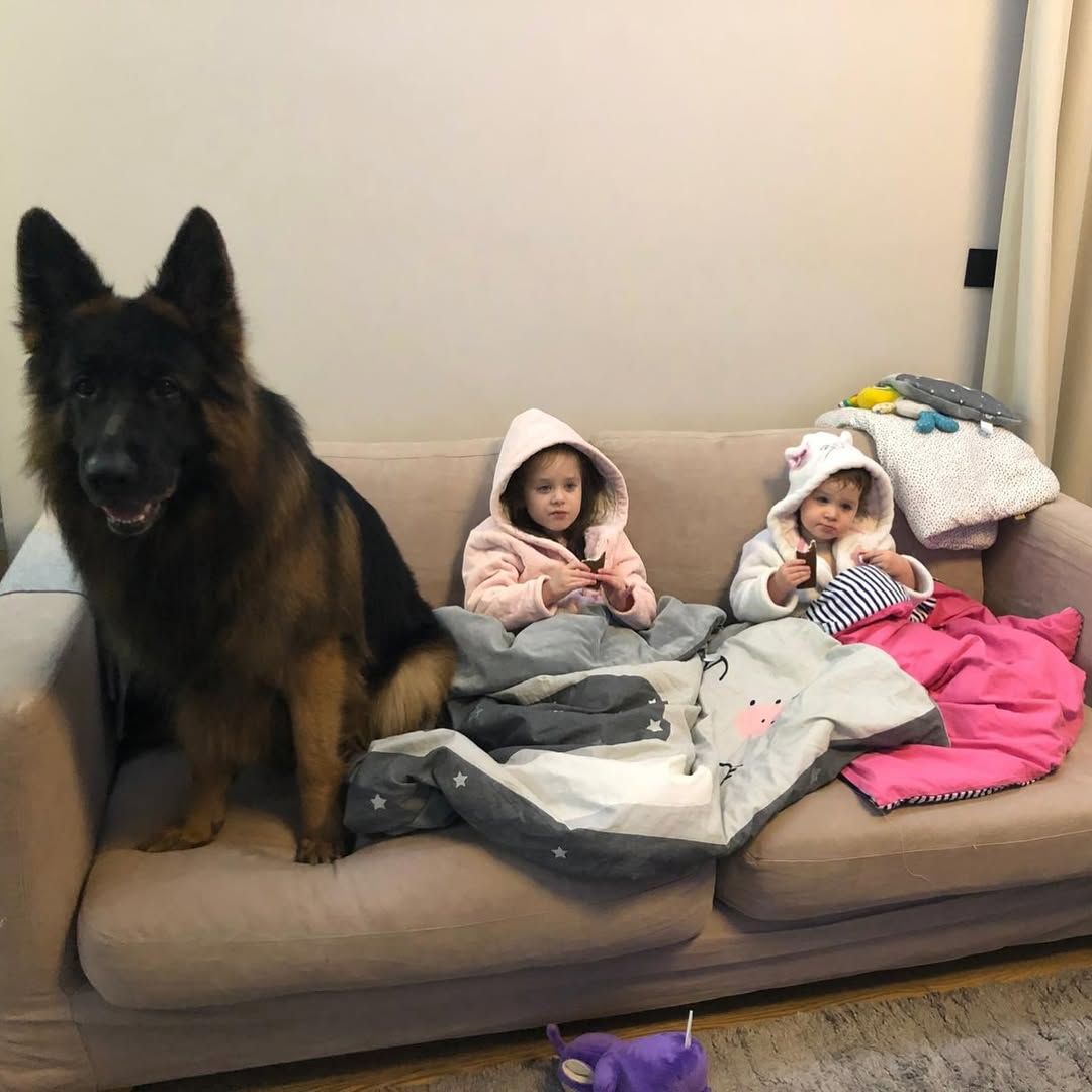 Источник: аккаунт pashaBiceps в Instagram*