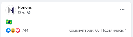 Представители HONORIS опубликовали флаг Бразилии в группе в Facebook