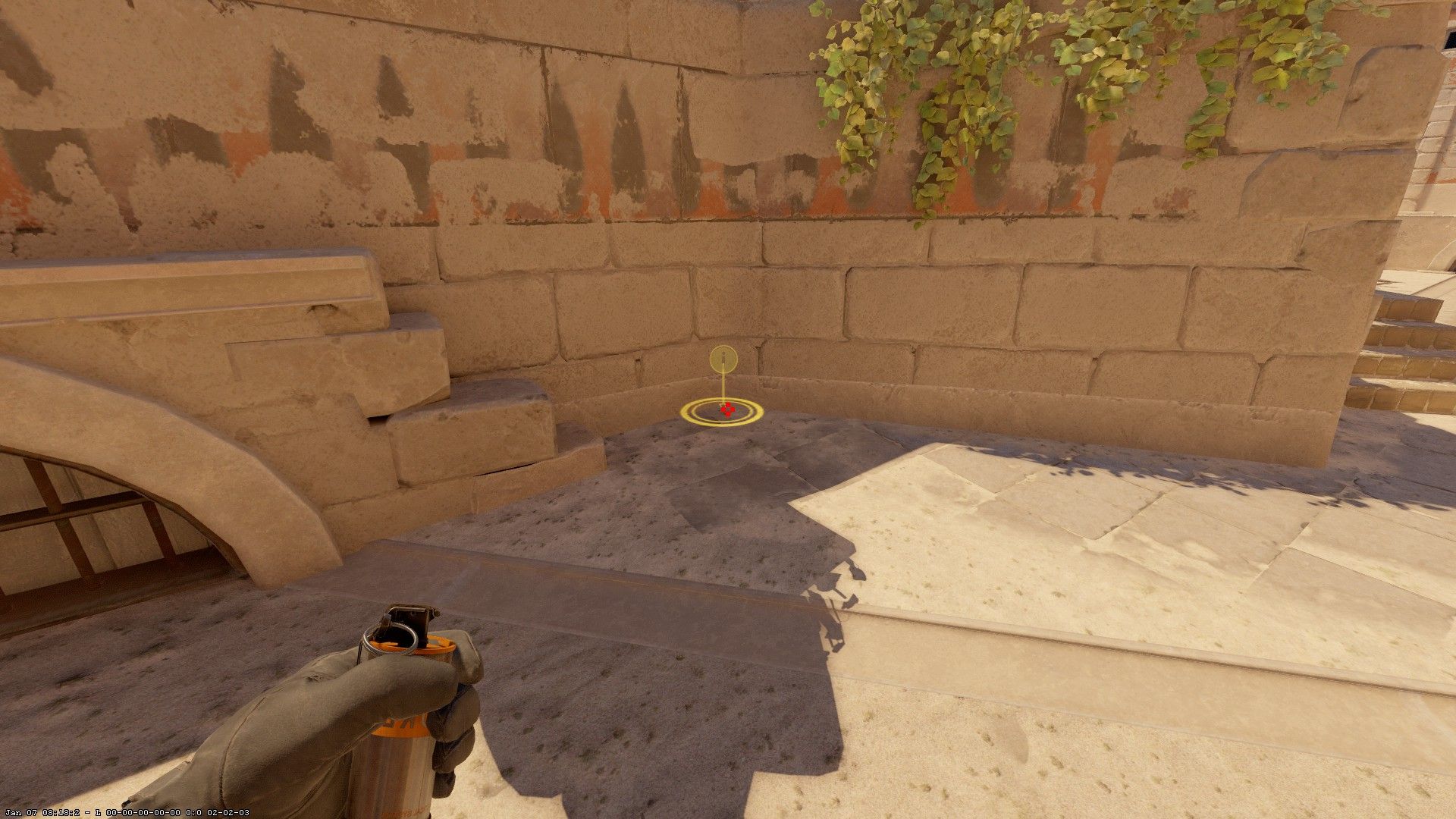 Скриншот из CS2