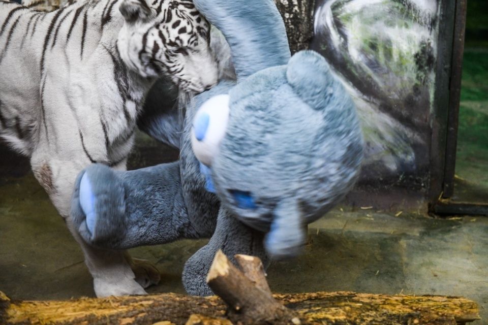 Источник: vk.com/cyblegacy