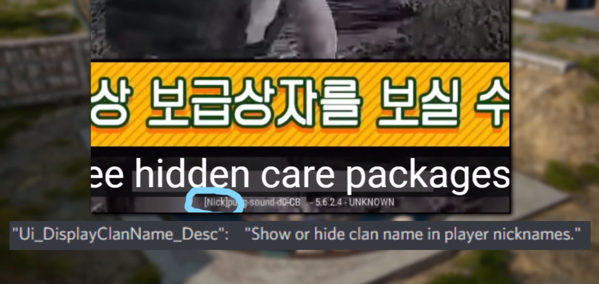 Строчка кода, которая указывает на возможность скрыть отображение клана | Источник: канал PlayerIGN на YouTube