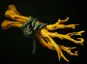 Iron Branch