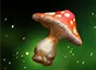 Vital Toadstool