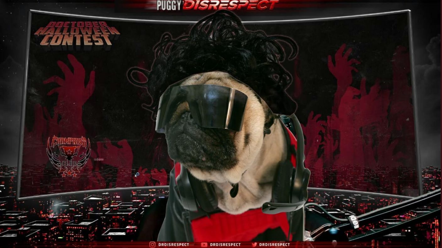 Источник: twitter @p4triciattv