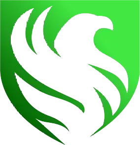 Team Falcons