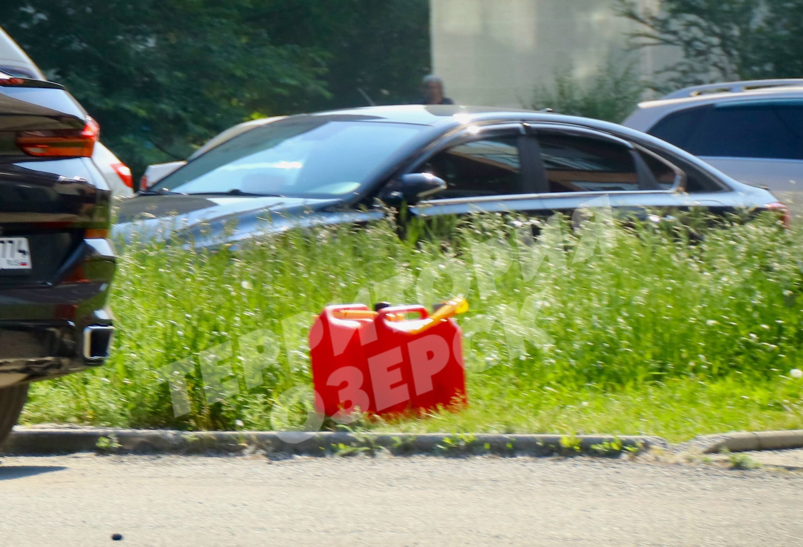 Источник: t.me/oz74ru