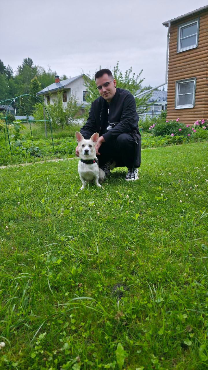 DM. Источник: личный канал DM в Telegram