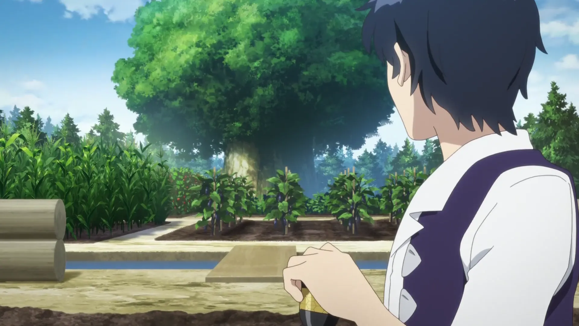 Кадр из аниме «Фермерская жизнь в ином мире»