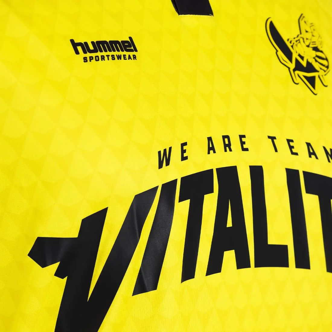 Источник: vitality.gg