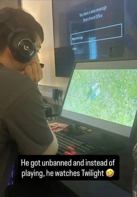 Источник: Skiter 