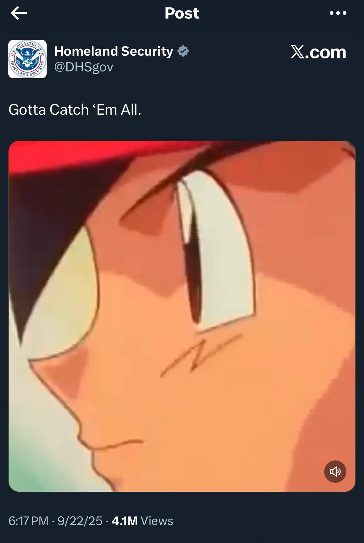 Кадр из сериала Pokémon, используемый ICE. Источник: reddit