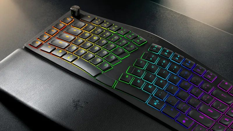 Razer Pro Type Ergo | Фото: Razer