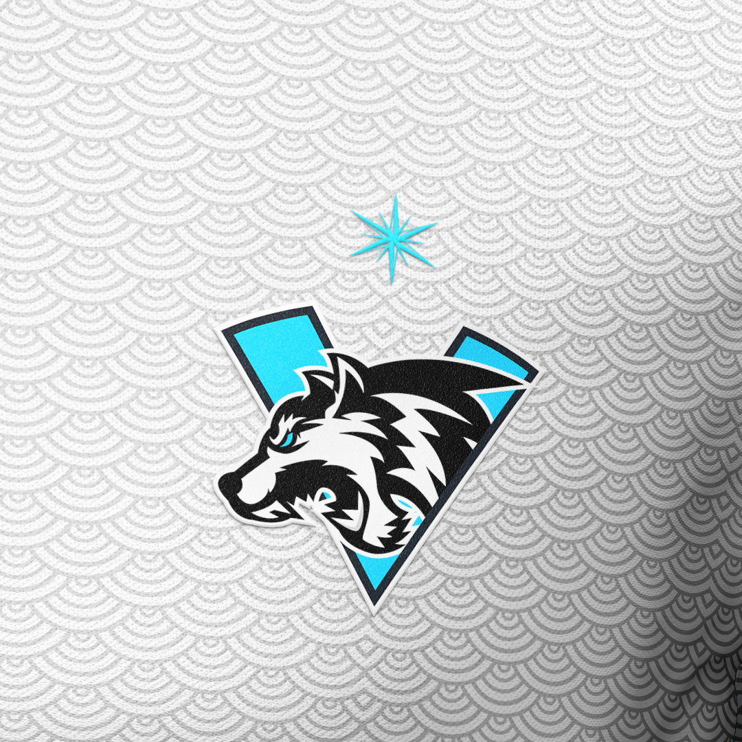 Звезды на логотипе обычно значат победы на крупных мировых турнирах, но на этом джерси она значит немного другое. Здесь — Полярная звезда, которая является самой яркой звездой в созвездии Малая Медведица, ее также называют иногда путеводной из-за того, что она всегда указывает север. Именно эта звезда указывает команде путь на север, к её первому Аегису