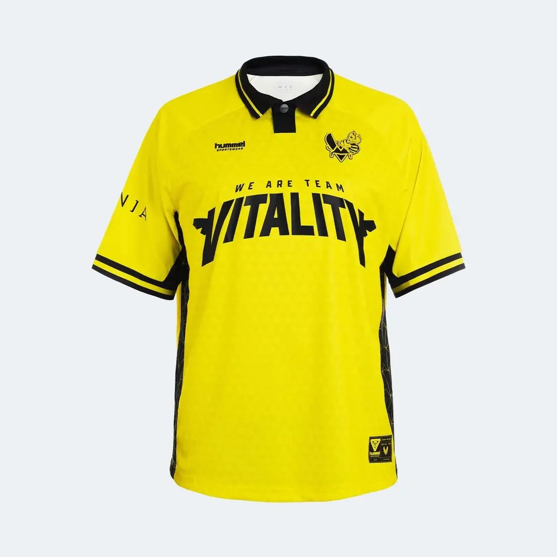 Источник: vitality.gg