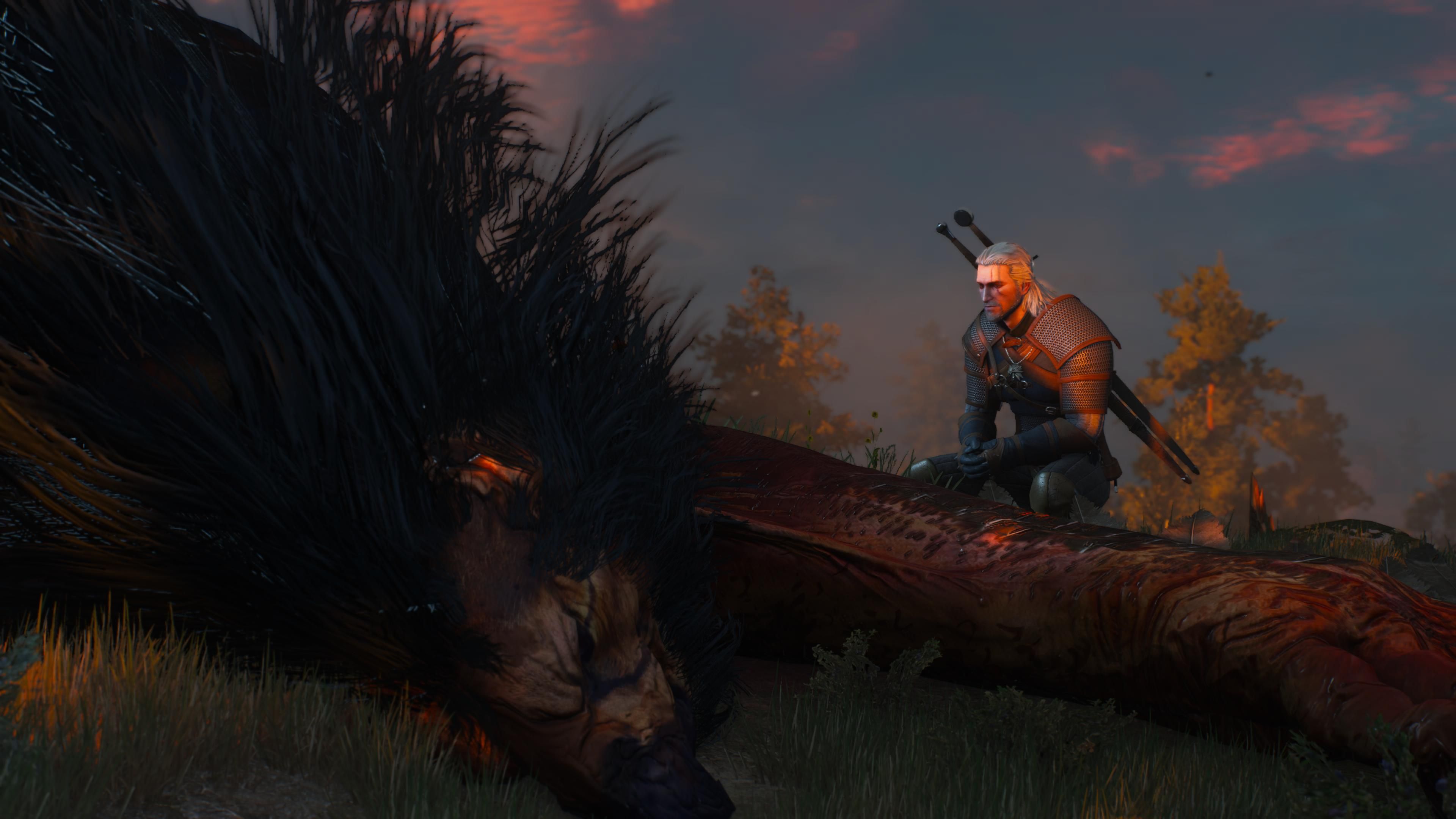 Скриншот из The Witcher 3: Wild Hunt — Remastered