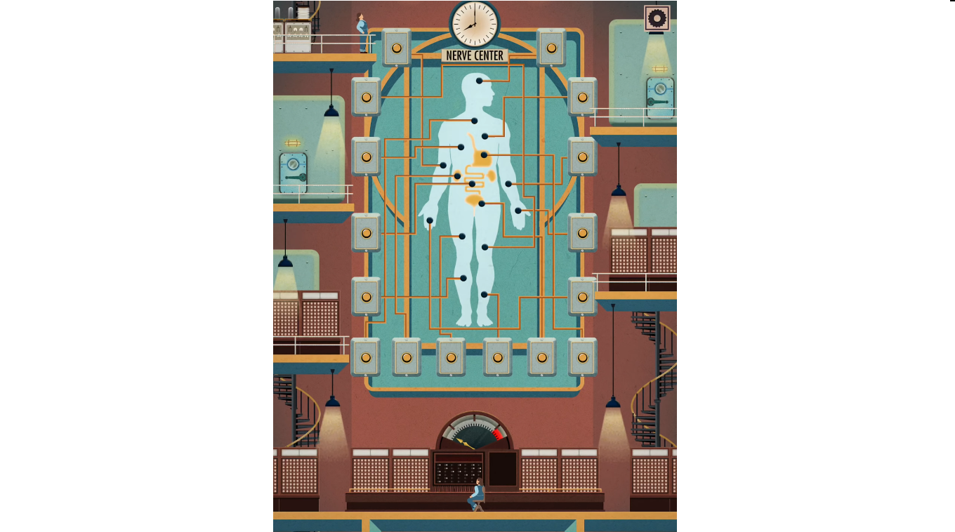 Весь наш организм представлен в виде единого механизма