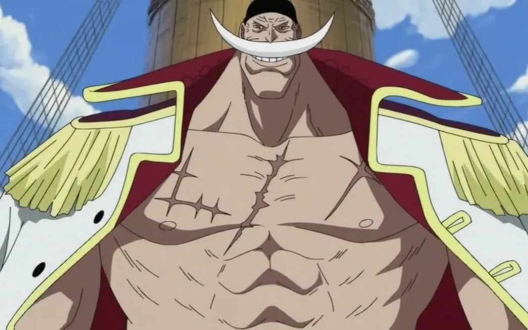 Кадр из аниме «Ван-Пис»