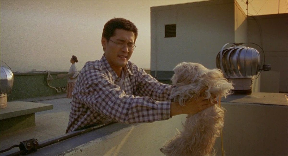 Кадр из фильма «Лающие собаки никогда не кусают»