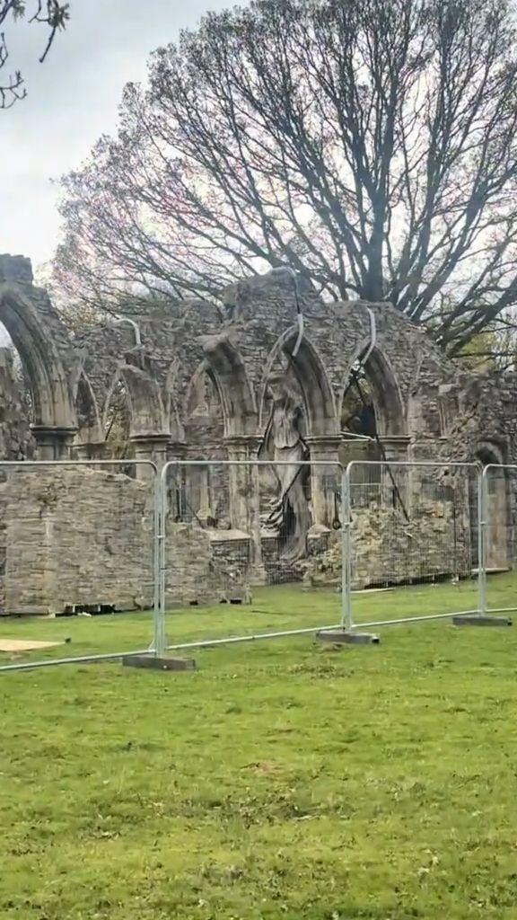 Источник: TikTok Throxtv