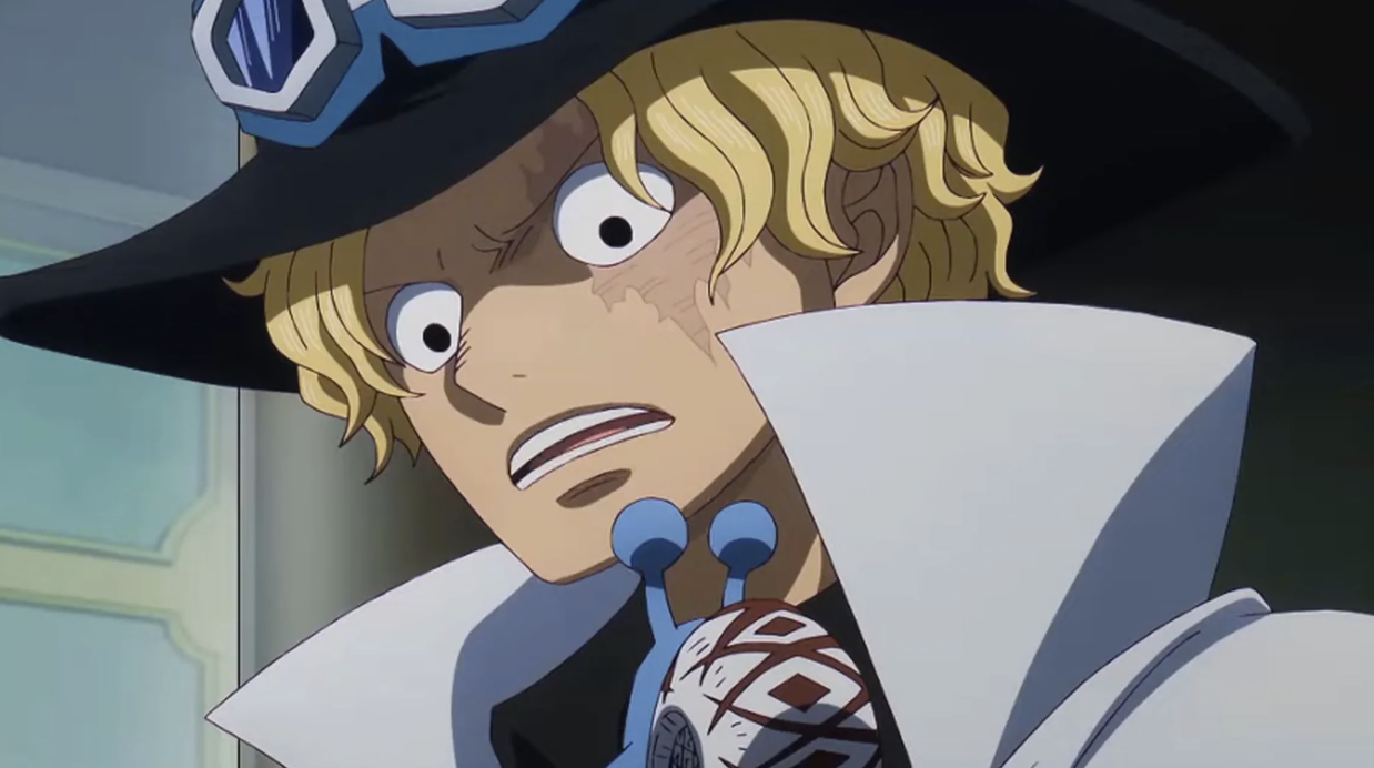 Кадр из аниме «Ван-Пис»