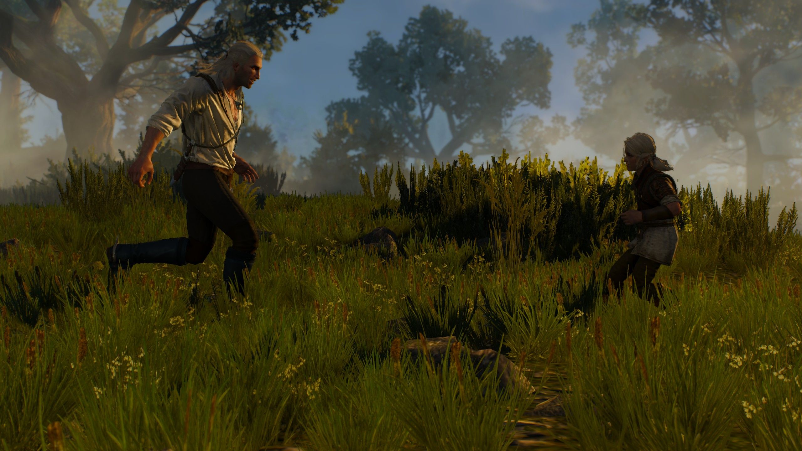 Ведьмак 3: Дикая Охота