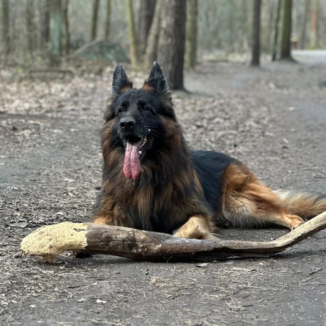 Источник: аккаунт pashaBiceps в Instagram*