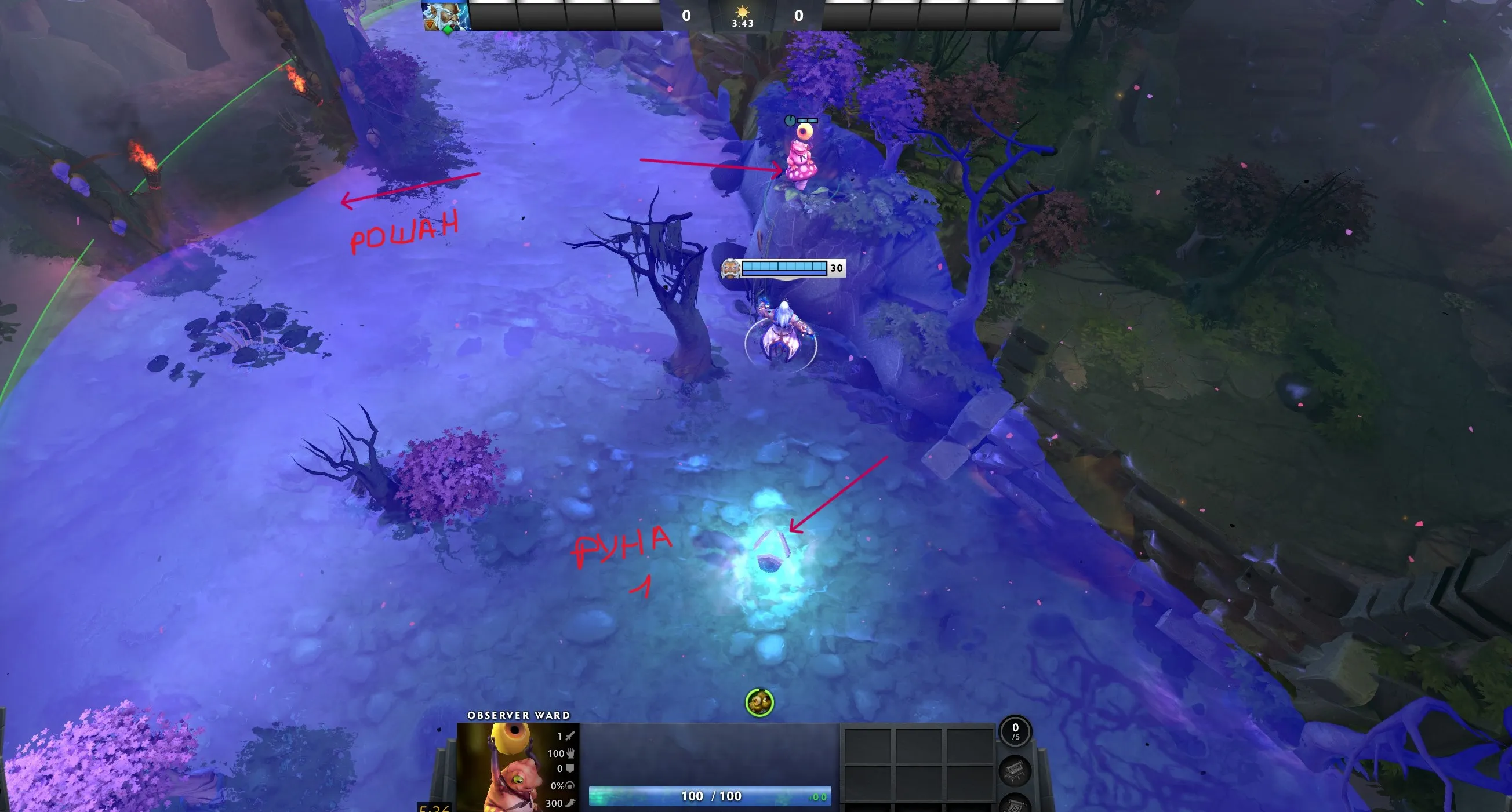 Вард на Рошпит | Источник: Dota 2