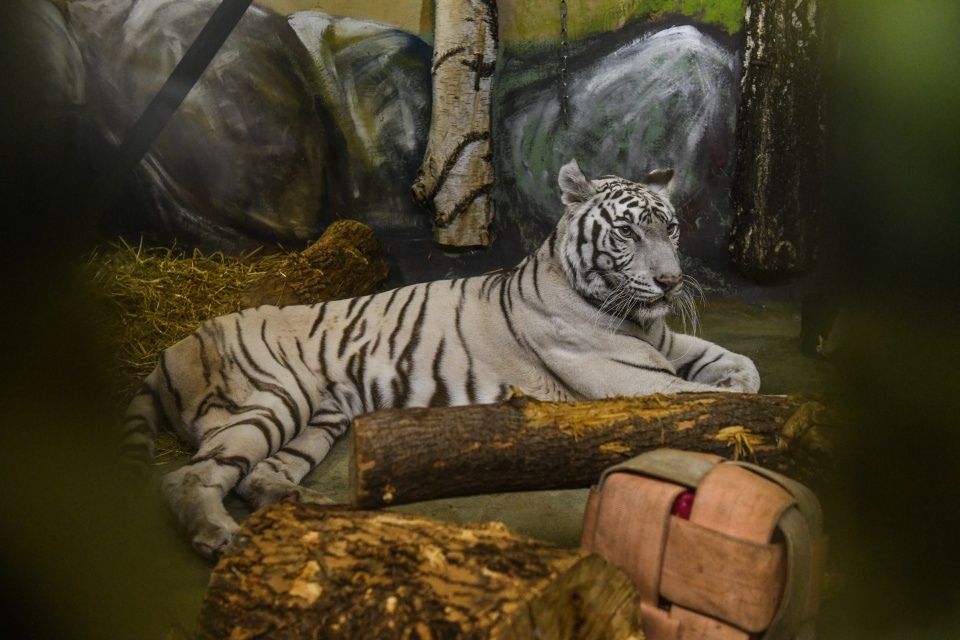 Источник: vk.com/cyblegacy