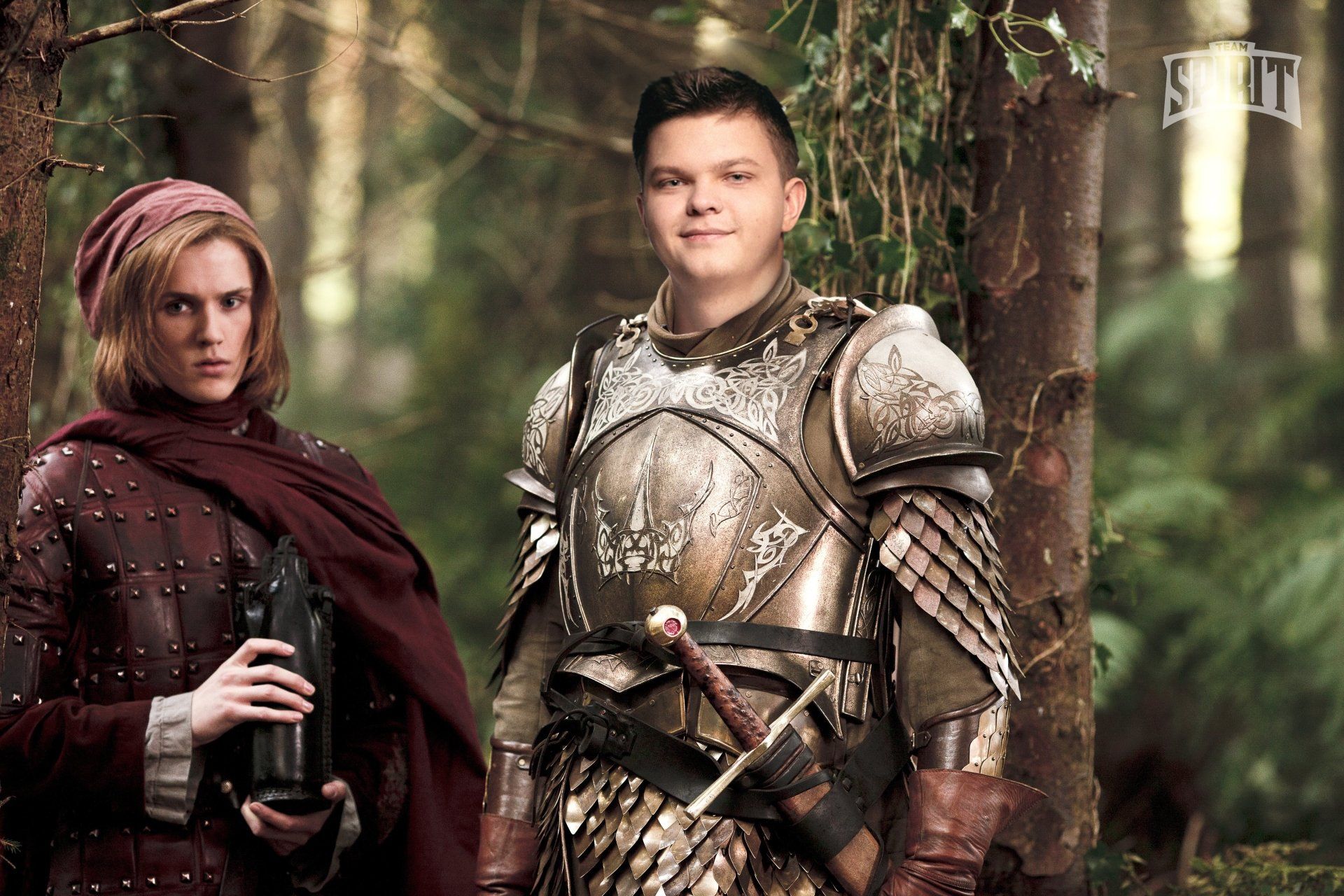 Сир Барристан Сильвер