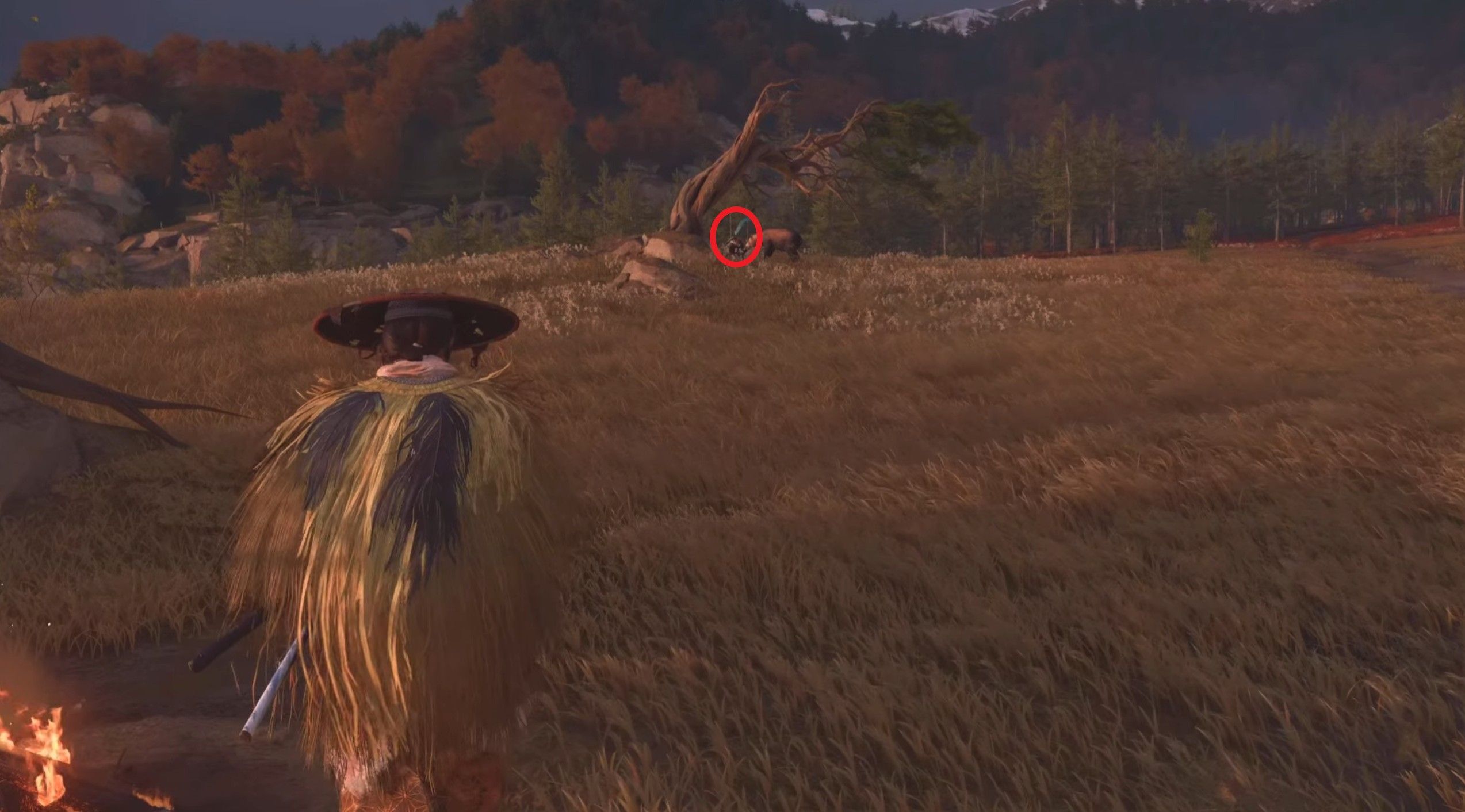 Скриншот из игры Ghost of Yōtei