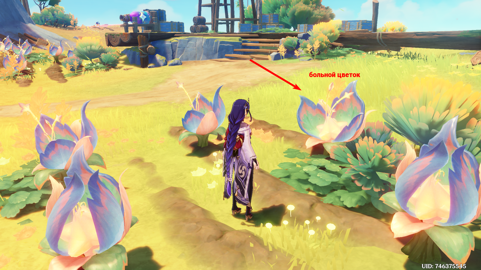 Источник: Genshin Impact