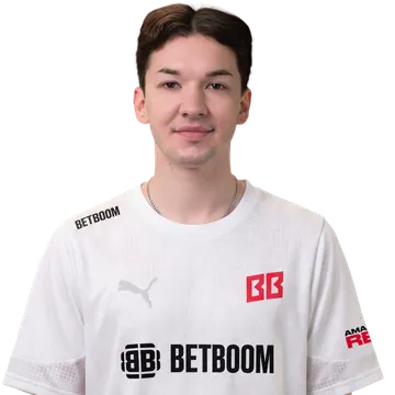 zorte