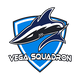 Vega Squadron