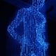 netcitizen