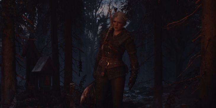 CD Projekt RED назвала год выхода The Witcher 4
