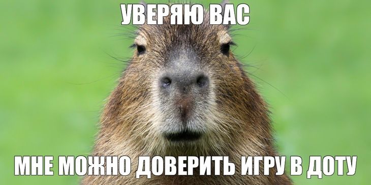 В файлах Dota 2 нашли нового курьера — им оказалась капибара