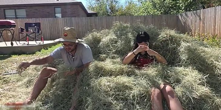 Стримеры проверили, сколько нужно времени на поиск иголки в стоге сена